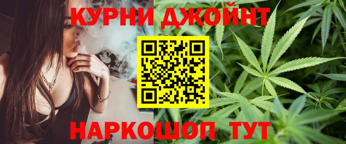 Марихуана планчик  МАРИХУАНА сатива  Вход с VPN  Шадринск 